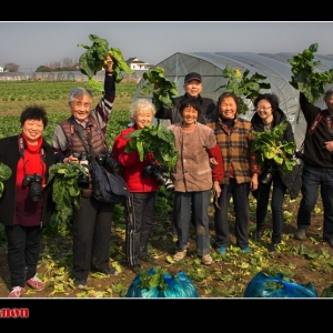 大菠菜真可爱